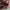  Fossil – Woman Leather Bag (Brown) / Tas Kulit Wanita photo 5
