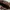  Fossil – Woman Leather Bag (Brown) / Tas Kulit Wanita photo 6