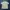 Kaos Polo Shirt Gem State  photo 5