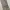 Amygo Store Cargo Satin Pants photo 1