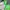 Salomon Gorpcore Sportswear Windbreaker Pria green gray photo 4