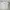 Champion photo 1