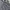 Versace Polo shirt Pria gray photo 2
