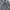 Versace Polo Shirt Pria Gray