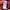 Dailly news japanese brand skull full print  uk L photo 8