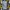 Vintage Y2K Short Pria blue photo 3