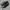 G.H. Bass Weejuns Larson Black Penny Loafers photo 2
