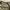 Repro 1940's US.ARMY M-45 Field Trousers photo 6
