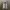 Impala double layered y2k hooded photo 1