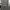 PLAC Mens Crewneck Grey Charcoal photo 3
