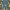 Louis Vuitton Luxury Casual Jeans Pria blue photo 2