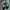 Kanky - Story Kitadake Green photo 4