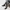 LOUIS VUITTON TRAINERS TRIPLE BLACK SNEAKERS , LOUIS VUITTON photo 9