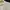 Arnold Palmer Minimalist Casual Casual shirt Pria white photo 2