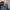 Levi's 511 Regular Fit/made in pakistan photo 3