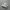 nike jordan photo 1