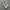 nike jordan photo 3