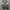 asics photo 5