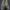reeltree long pants / cargo pants  photo 1