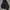 Carhatt photo 9
