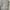 Knitwear V Neck Blank Gray GU