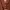 Cardigans Coklat photo 2