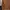 Kaos Coklat Lengan Panjang 