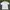 Carhartt pocket tee tshirt photo 2