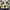 Knitwear Argyle pattern Unique colour Standard photo 1