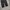 Gu uniqlo curved tuck pants photo 5
