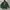 Hoodie Screamous photo 1