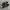 Adidas Streetwear Casual Sneakers Pria silver black photo 4