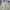 Dickies 874 work pants khakis photo 5