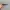 Oakley Straight Jacket Black  Polarized  photo 1