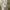 Vintage Thomas Burberry Work Jacket photo 5