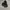 Converse Allstar Strap Leather Fullblack photo 1