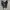 Converse Allstar Strap Leather Fullblack photo 3