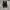 Converse Allstar Strap Leather Fullblack photo 4