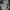 POLHAM T-SHIRTS LONG SLEEVED photo 5
