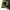 00s MOUNTAIN HARDWEAR CONDUIT JACKET-ARCTERYX-GORPCORE photo 8