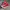 Converse Allstar Hi Red photo 2