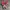 Converse Allstar Hi Red photo 4