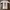 Vintage 90’s dogtown skateboard jersey photo 2