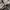 Unbrand Softshell Camouflage Jacket photo 8