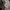 Unbrand Softshell Camouflage Jacket photo 9