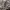 Unbrand Softshell Camouflage Jacket photo 5