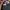 Unbrand Softshell Camouflage Jacket photo 10