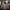 Unbrand Softshell Camouflage Jacket photo 4