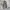 00s Russel Athletic Cargo Real Three  photo 5