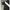 Polo Ralph Lauren Luxury Sportswear Polo shirt Pria white black photo 2